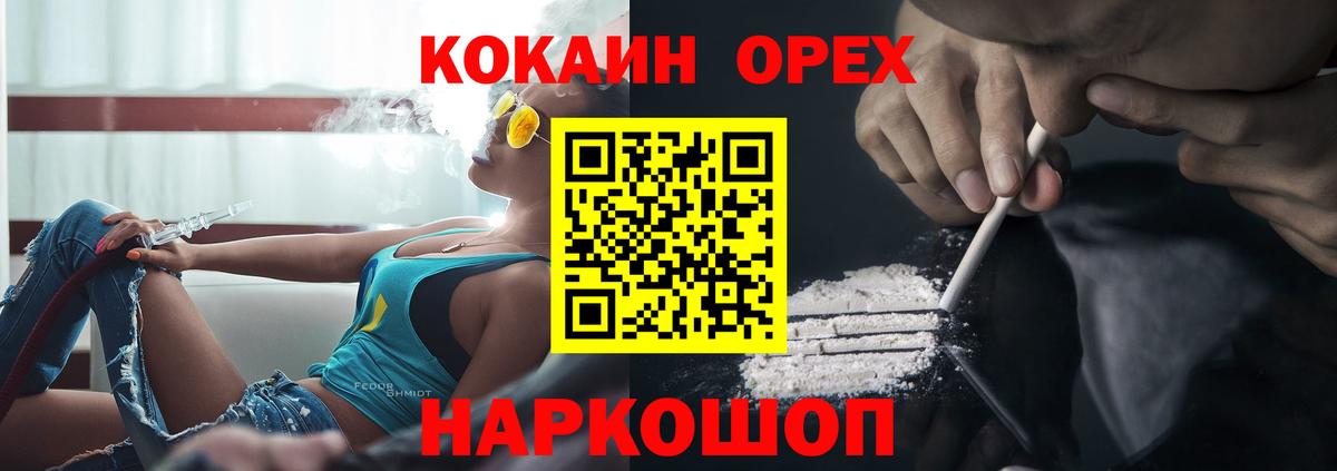 ГАШ Новороссийск