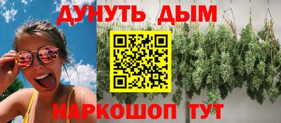 гидропоника Жуковский