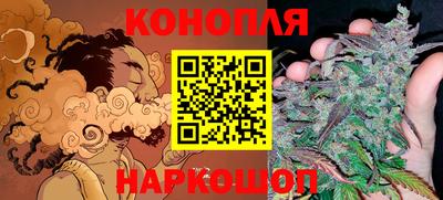 гидропоника Жуковский