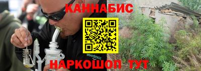 гидра Заводоуковск
