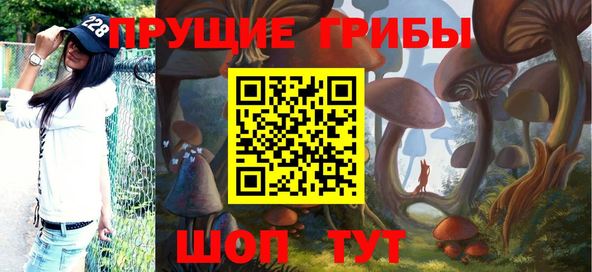 Псилоцибиновые грибы мицелий Новороссийск