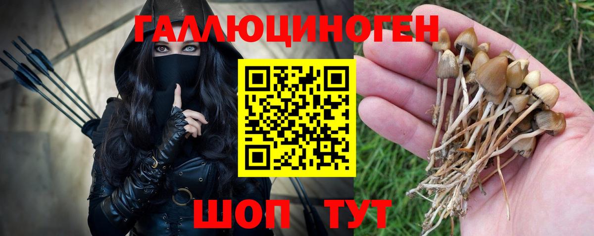 Галлюциногенные грибы мицелий  Вход с VPN  Новороссийск 